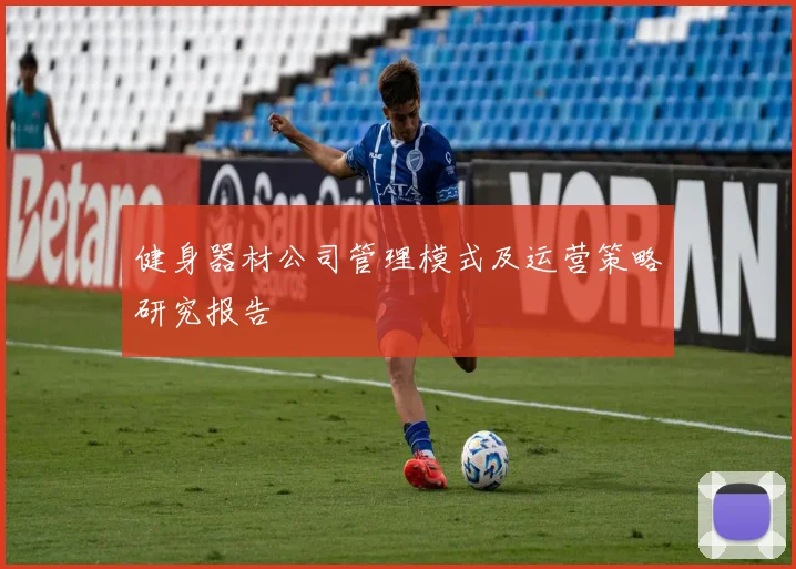 健身器材公司管理模式及运营策略研究报告