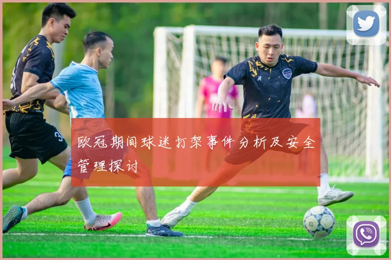 欧冠期间球迷打架事件分析及安全管理探讨