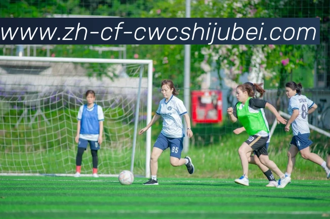 世界杯买球APP 高清赛事图