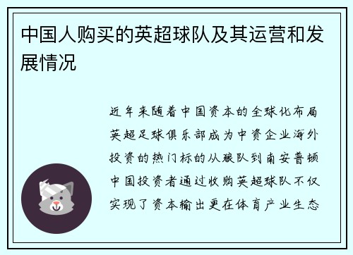 中国人购买的英超球队及其运营和发展情况